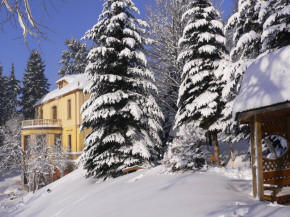 VILLA ROMANTICA отель в Шклярской Порембе SPA ресторан горные лыжи Карконоше